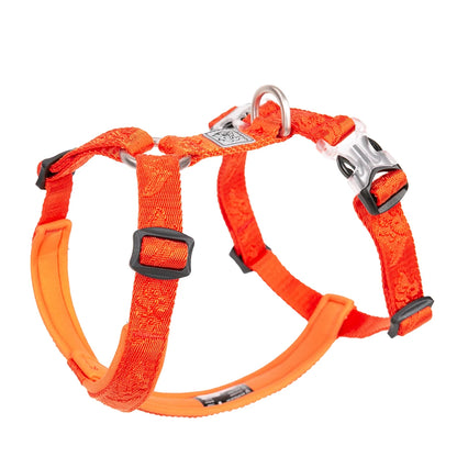 Padded Nylon Pet Harness Vest for Outdoor Walking, Running, Climbing