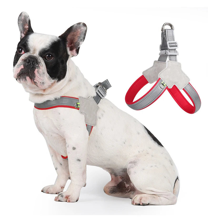 no-pull vest harness for small dogs & cats - reflective, adjustable
