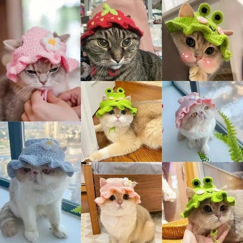 Knitted Kitten Hat – Cute Elastic Pet Hat for Photos