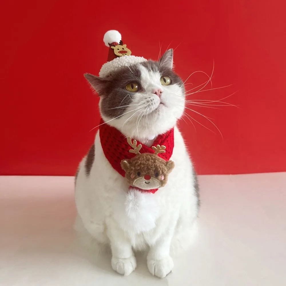 soft red christmas cat hat and scarf with adjustable chin strap