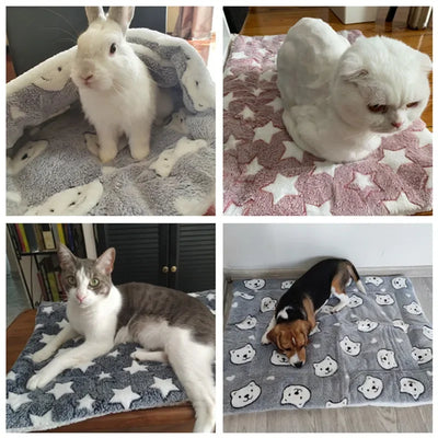 Thickened Soft Fleece Dog Bed Mat Warm Pet Blanket for Dogs and Cats