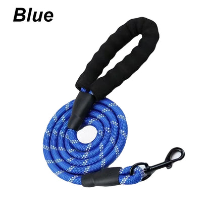 Reflective Nylon Dog Leash – Padded No-Slip Handle, Adjustable Fit