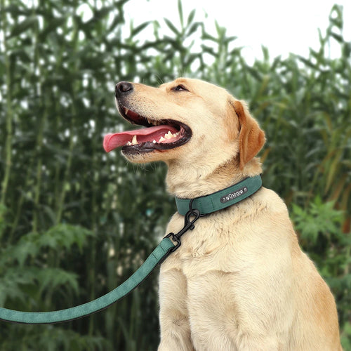 Personalized Leather Dog Collar & Leash Set - Soft, Padded, Durable