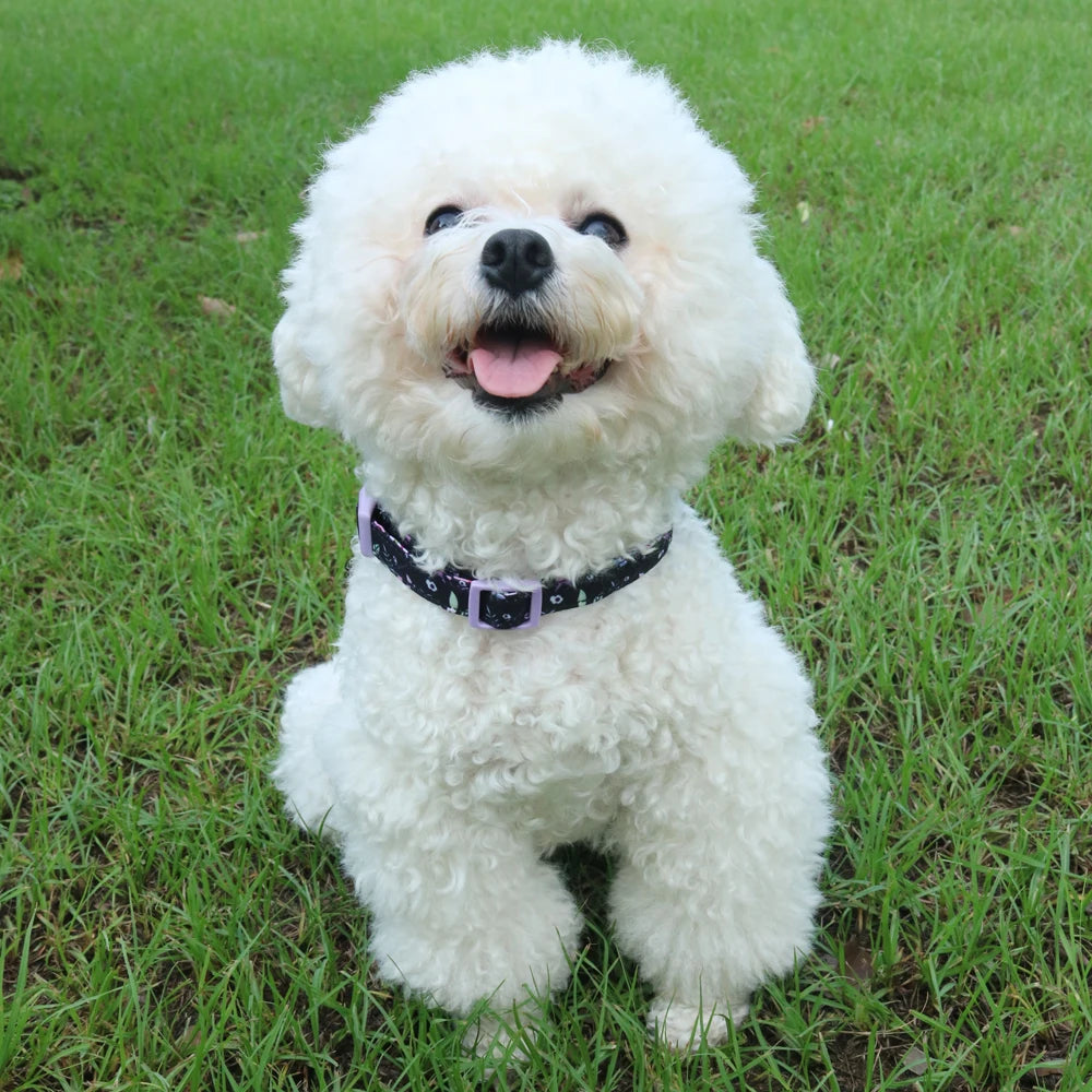 soft puppy harness, leash & collar set – adjustable pet vest set