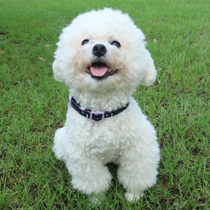 Soft Puppy Harness, Leash & Collar Set – Adjustable Pet Vest Set
