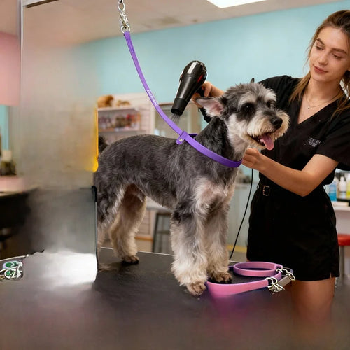 Silicone Grooming Hanging Rope – Non-Stretch Pet Bathing Restraint