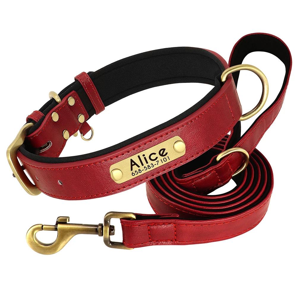 padded leather dog collar and leash set with custom nameplate tag