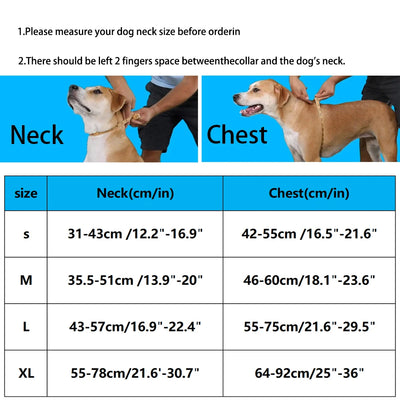 Luxury Chocolate No-Pull Dog Harness for Small, Medium, Large Dogs