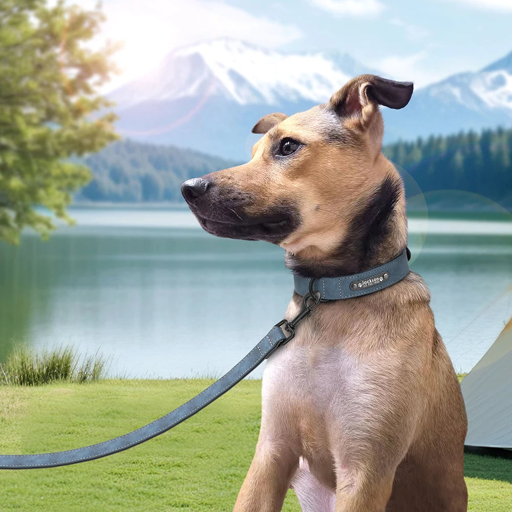 personalized leather dog collar & leash set - soft, padded, durable