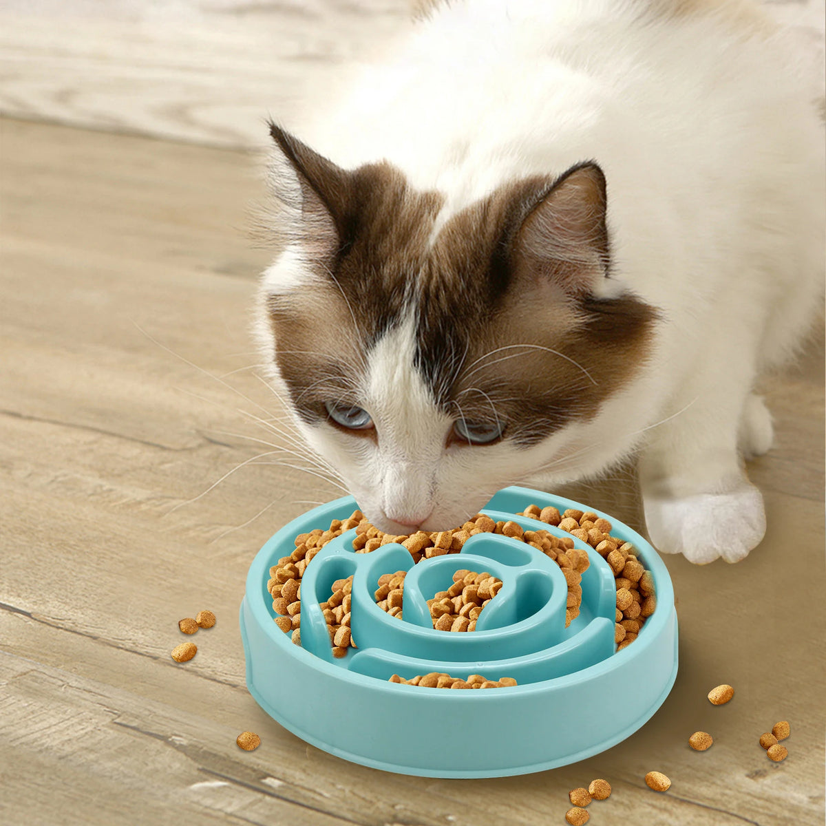 maze design slow feeder dog bowl – anti-gulping feeding dish