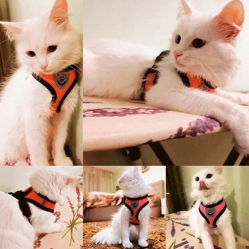 adjustable mesh vest harness & leash - breathable for cats & dogs