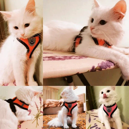 Adjustable Mesh Vest Harness & Leash - Breathable for Cats & Dogs