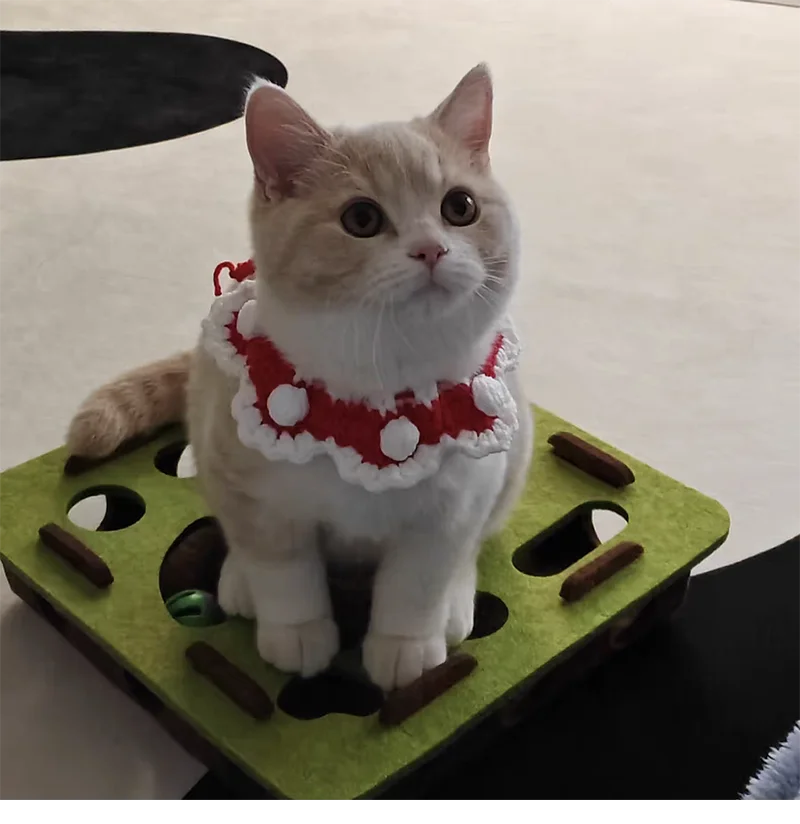 crocheted christmas cat bow tie collar for kittens and puppies