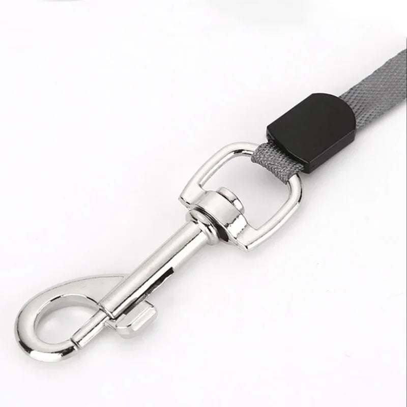 retractable nylon dog leash – 3m/5m extending walking lead
