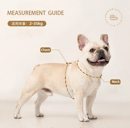 Lightweight Dog Harness & Leash Set - Anti-Pull, Escape-Proof Fit