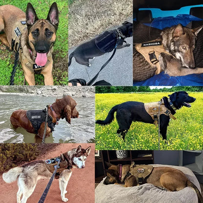 Tactical Dog Harness Set with MOLLE Pouches – Training Vest