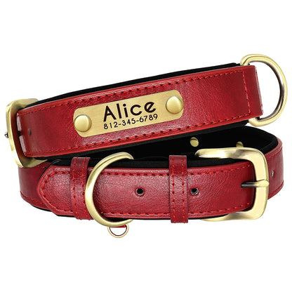 Padded Leather Dog Collar and Leash Set with Custom Nameplate Tag