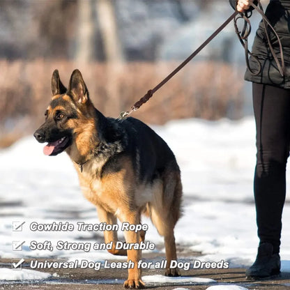Genuine Leather Braided Dog Leash for Medium and Large Dog Breeds