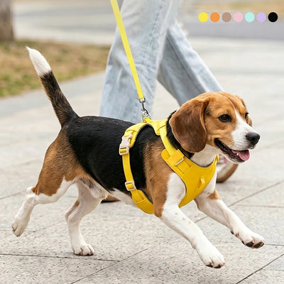 Lightweight Dog Harness & Leash Set - Anti-Pull, Escape-Proof Fit