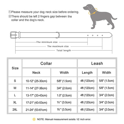 Personalized Leather Dog Collar & Leash Set - Soft, Padded, Durable