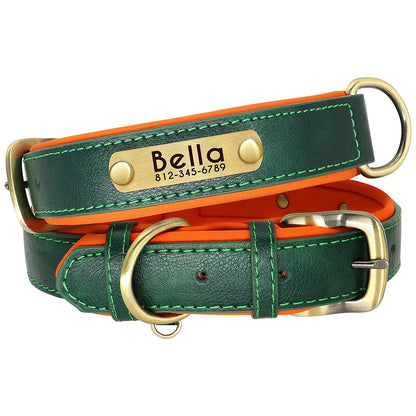 Padded Leather Dog Collar and Leash Set with Custom Nameplate Tag