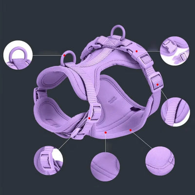 Breathable Dog Harness and Leed Set, Adjustable Vest for Daily Walks