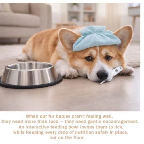Slow Feeder Liquid Lick Bowl – Rolling Ball Dog Bone Broth Bowl