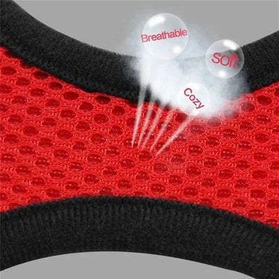 Adjustable Mesh Vest Harness & Leash - Breathable for Cats & Dogs