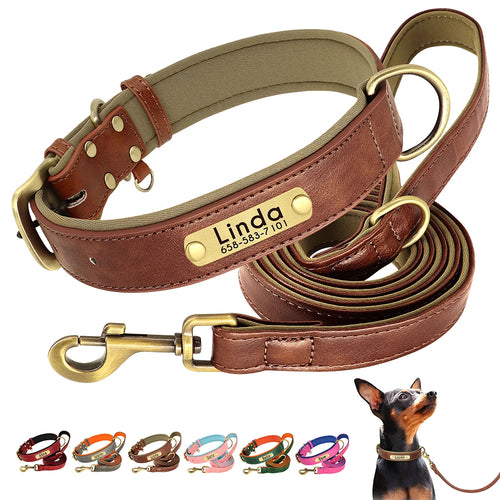 Padded Leather Dog Collar and Leash Set with Custom Nameplate Tag