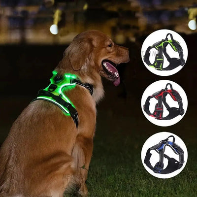 Rechargeable LED Dog Harness, Adjustable Light Up Glow Vest for Dogs
