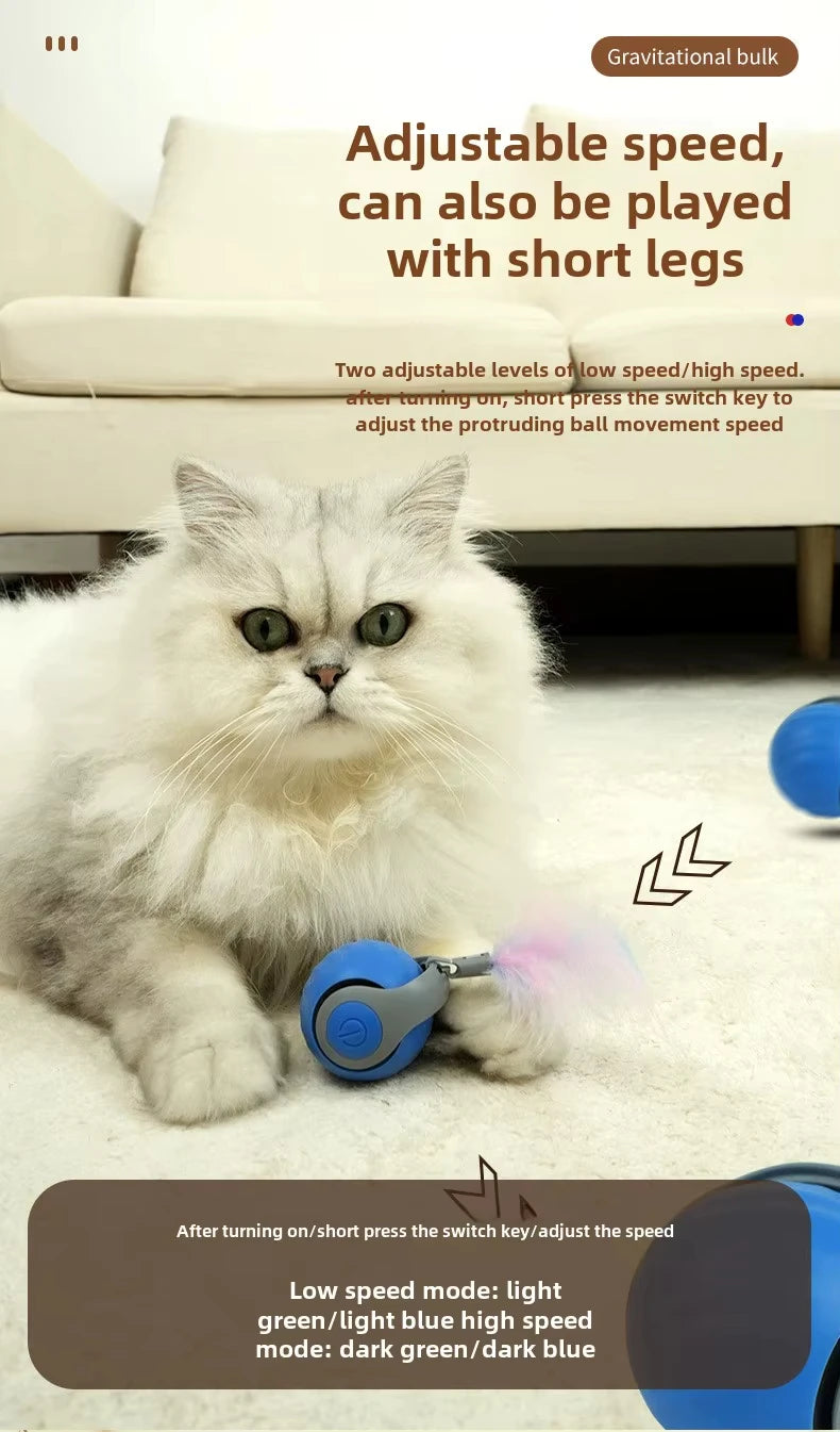 speedy tail 2.0 interactive cat ball toy with dual-speed modes