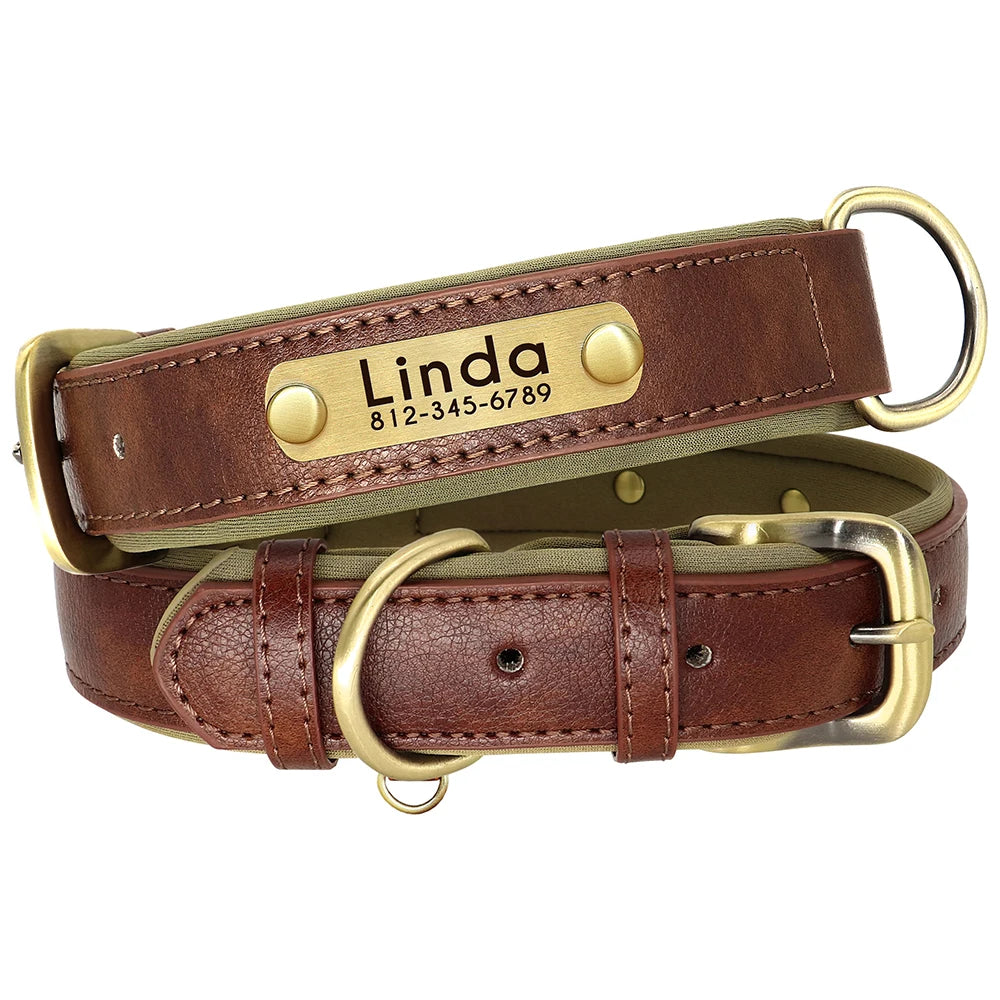 padded leather dog collar and leash set with custom nameplate tag