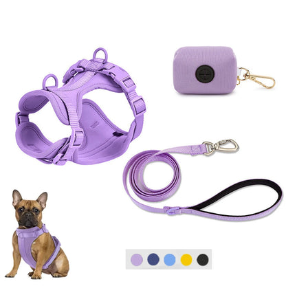 Breathable Dog Harness and Leed Set, Adjustable Vest for Daily Walks