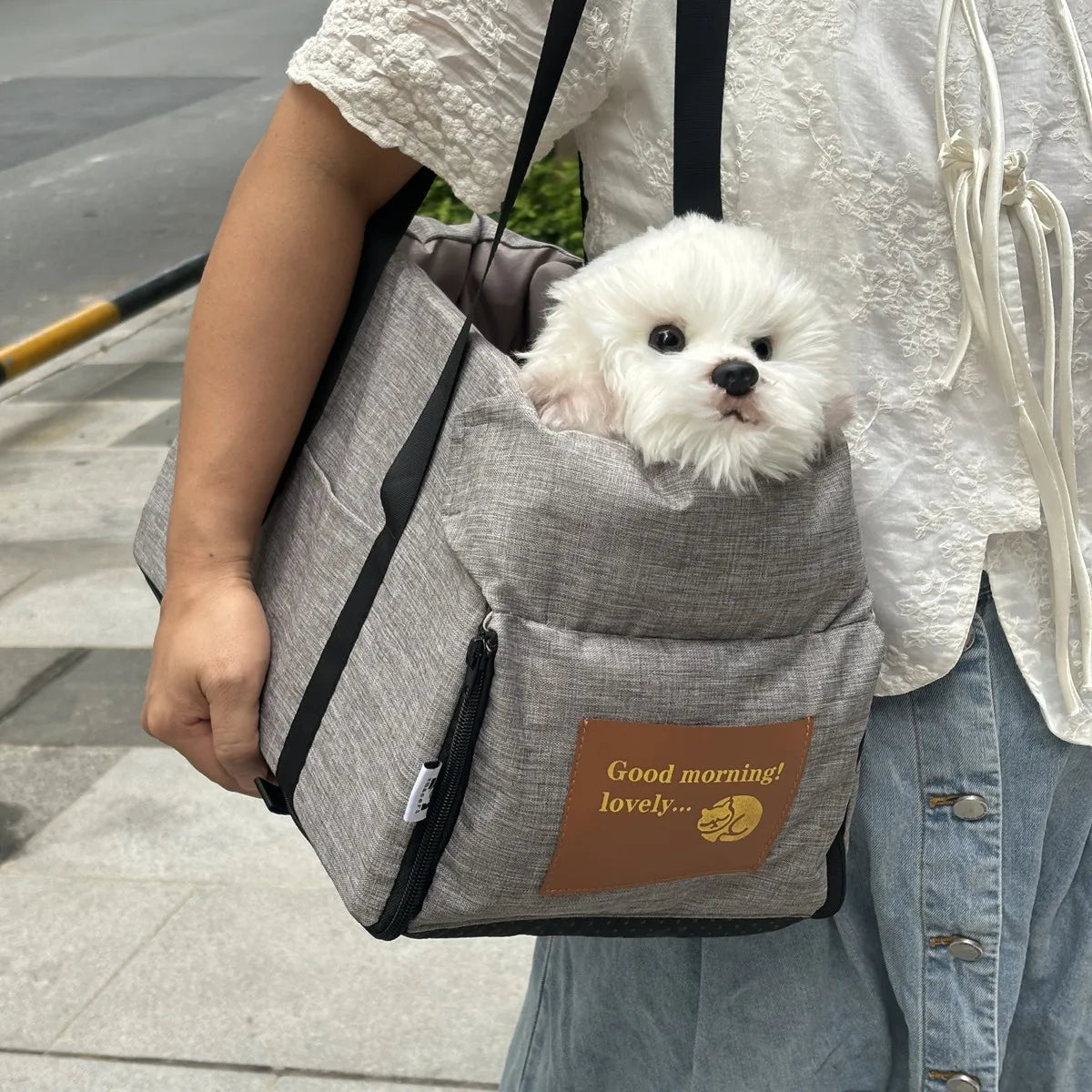portable car booster seat & carrier bag for small dogs & cats