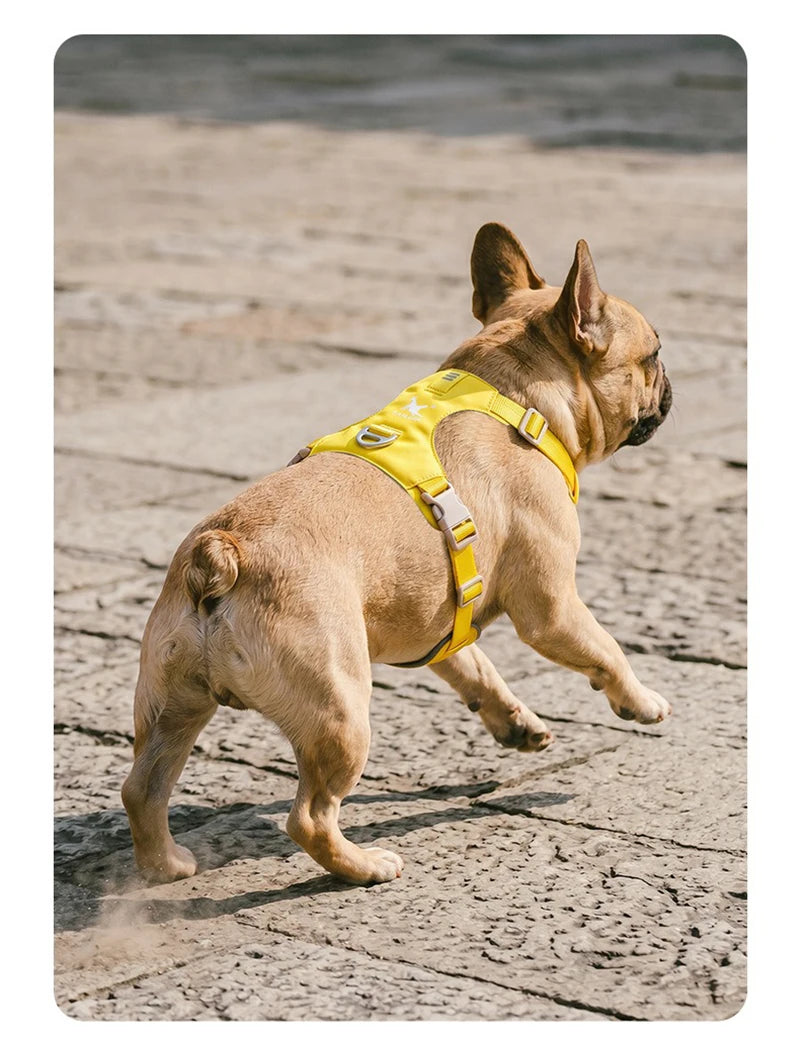 lightweight dog harness & leash set - anti-pull, escape-proof fit