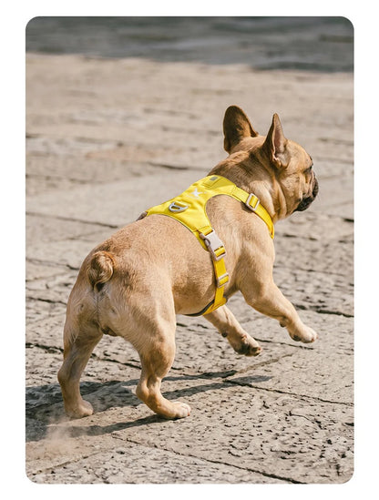 Lightweight Dog Harness & Leash Set - Anti-Pull, Escape-Proof Fit