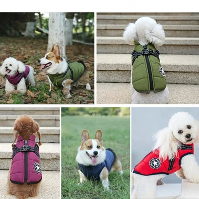 Winter Dog Jacket with Built-In Harness – Warm Splash-Proof Coat
