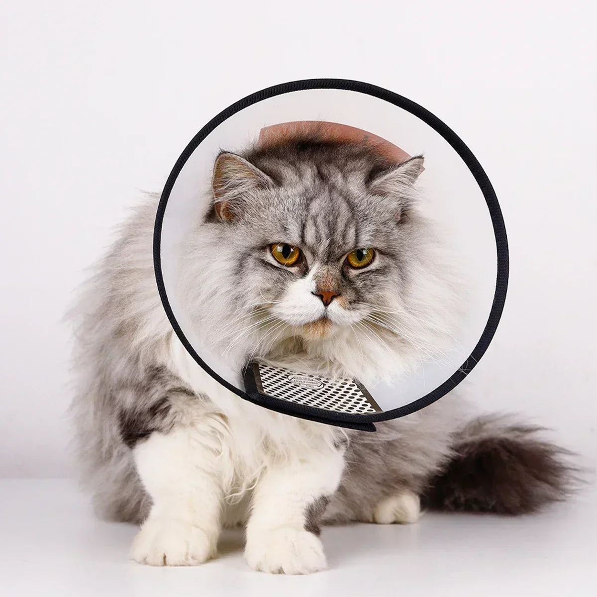 adjustable pet recovery collar after surgery - cone for cats and dogs
