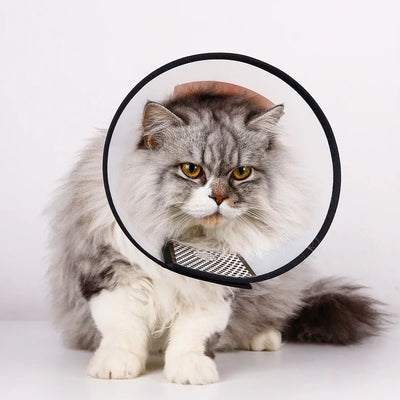 Adjustable Pet Recovery Collar After Surgery - Cone for Cats and Dogs