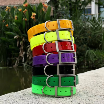 2.5cm Wide Heavy-Duty TPU Dog Collar for Hunting, Training, and Everyday Walks