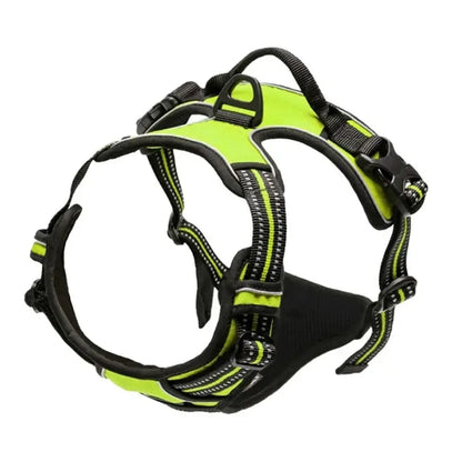 Personalized Leather-Style Dog Harness Set – Comfortable Vest