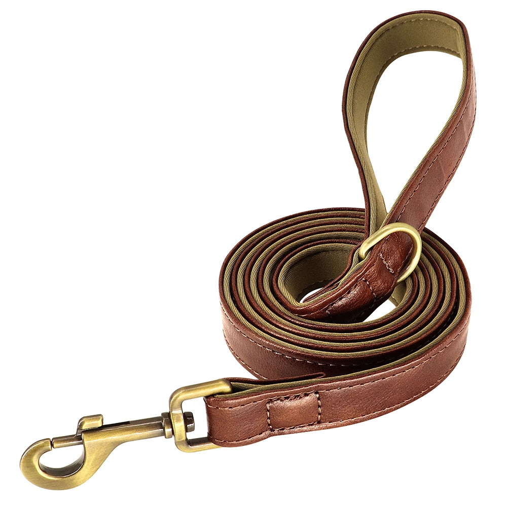padded leather dog collar and leash set with custom nameplate tag
