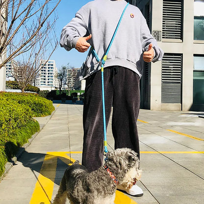 Hands-Free Reflective Nylon Dog Leash for Running and Walking Dogs
