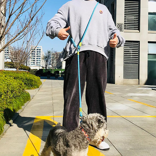 Hands-Free Reflective Nylon Dog Leash for Running and Walking Dogs