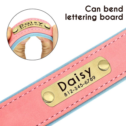 Padded Leather Dog Collar and Leash Set with Custom Nameplate Tag