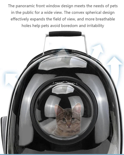 Transparent Bubble Pet Carrier Backpack for Cats & Small Dogs