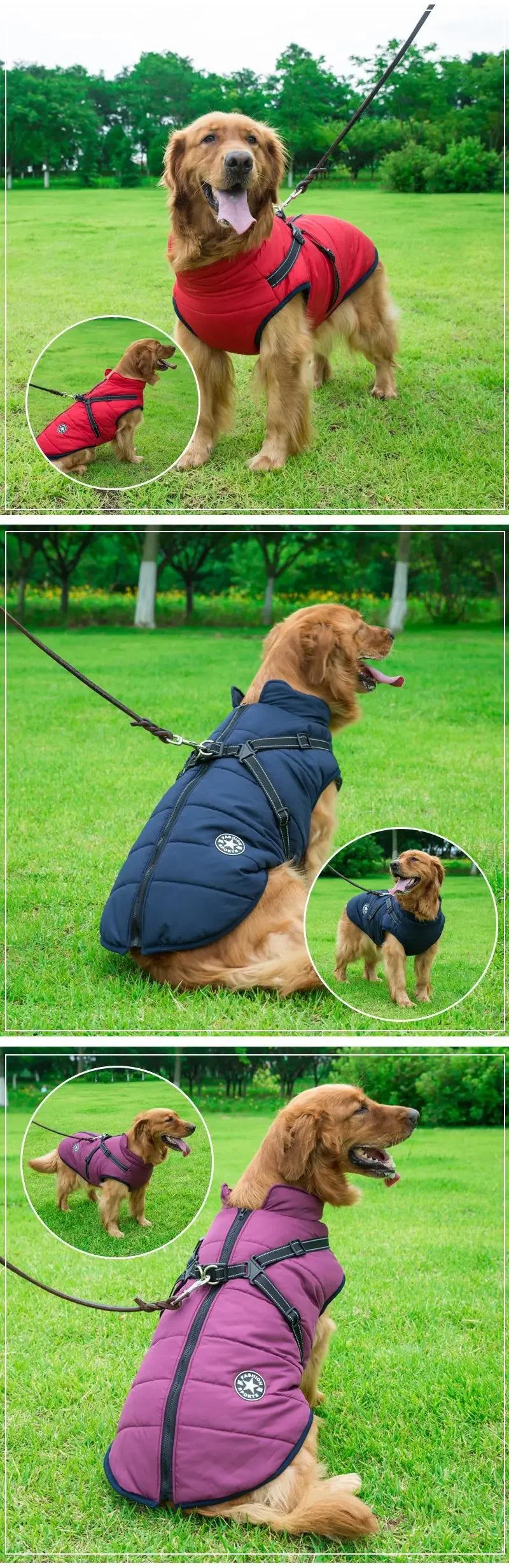 winter dog jacket with built-in harness – warm splash-proof coat