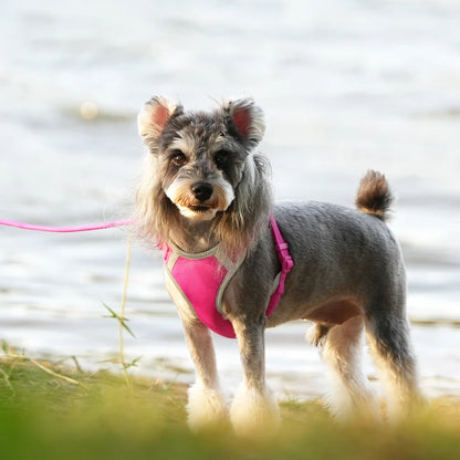 Reflective Adjustable Pet Harness & Leash Set for Small/Medium Dogs