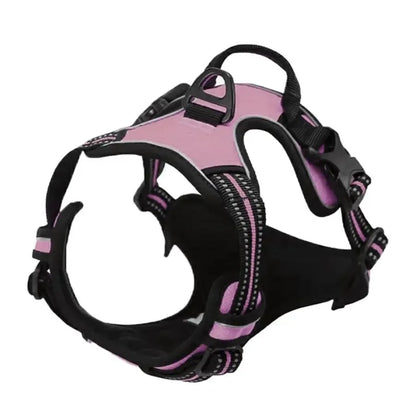 Personalized Leather-Style Dog Harness Set – Comfortable Vest