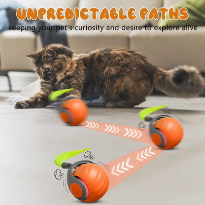 Speedy Tail 2.0 Interactive Cat Ball Toy with Dual-Speed Modes